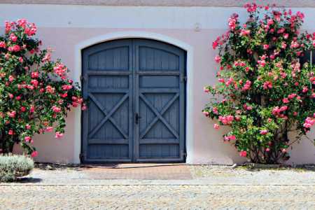 roses around an entrance gate